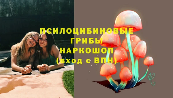 хмурый Зеленодольск