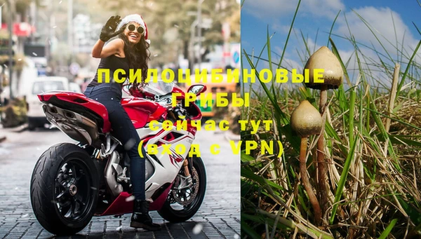 хмурый Зеленодольск