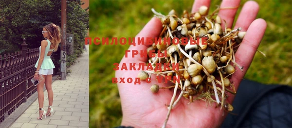 хмурый Зеленодольск