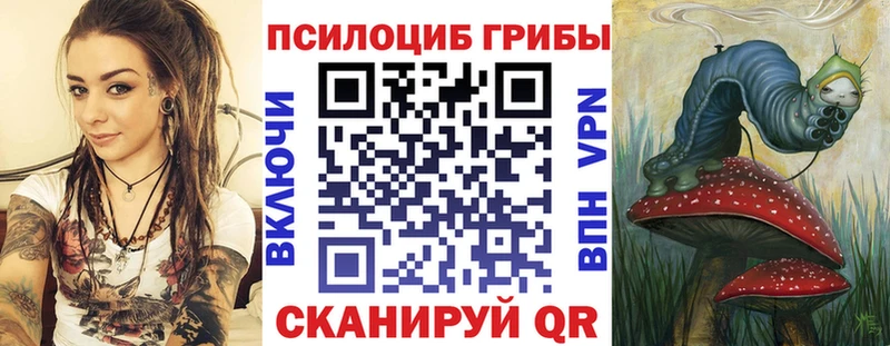 Купить где  Зубцов  Псилоцибиновые грибы ЛСД 