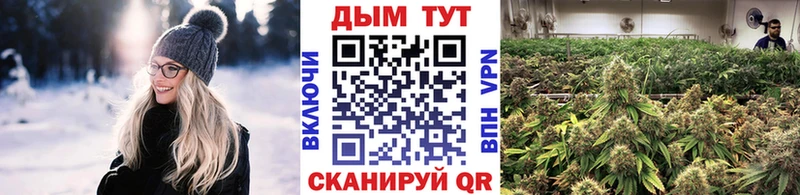 Купить  Зубцов  Бошки марихуана семена 